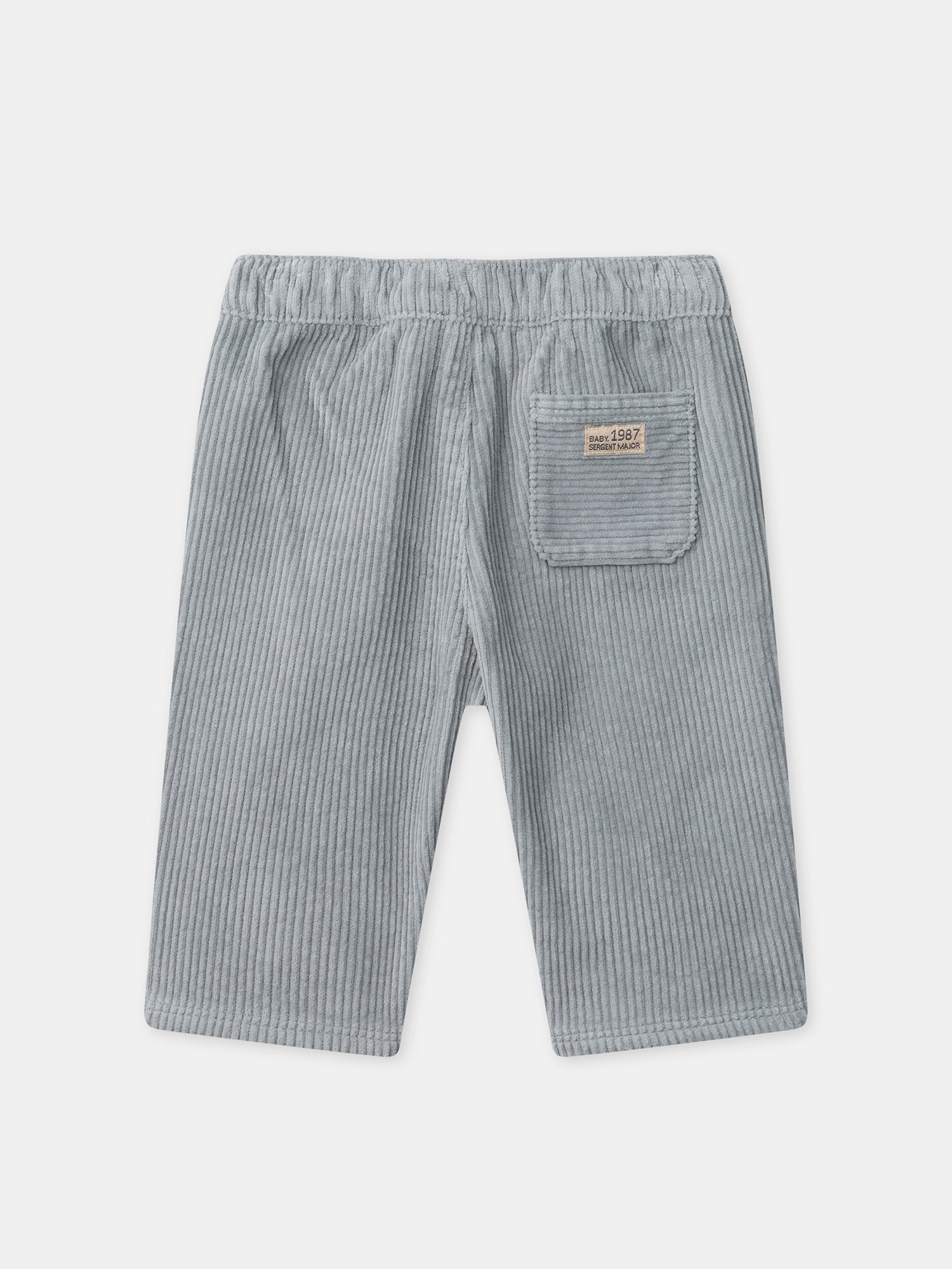 Pantalon bleu grisé en velours Bébé Garçon