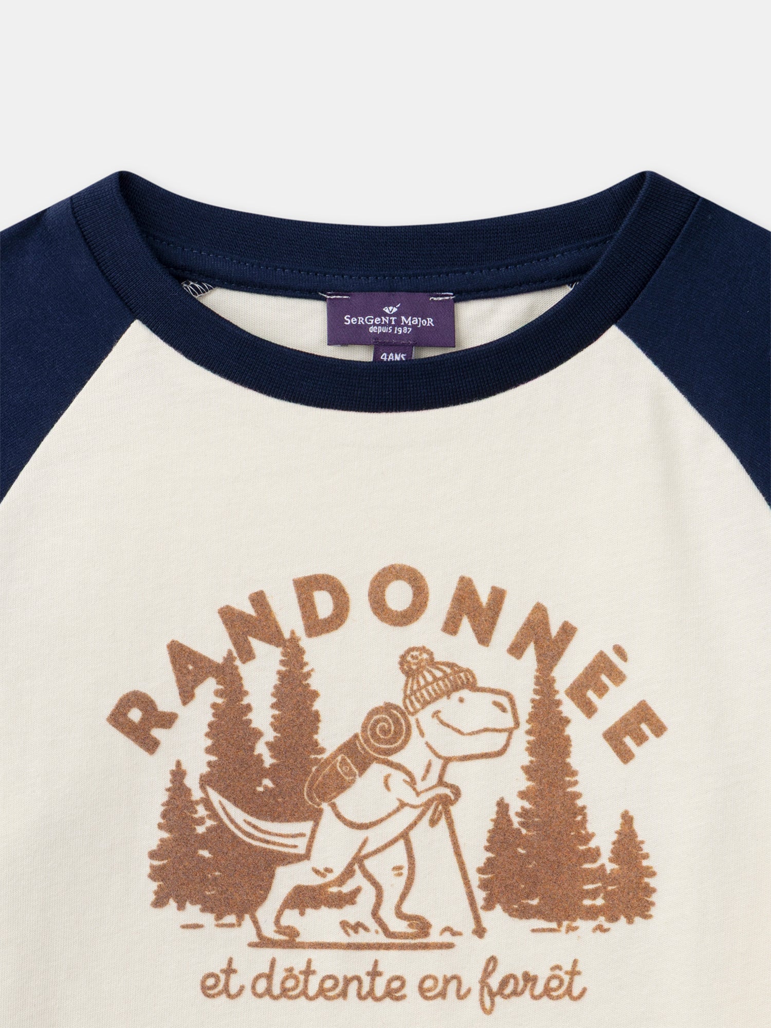 T-shirt bleu et écru imprimé dinosaure à manches longues Garçon