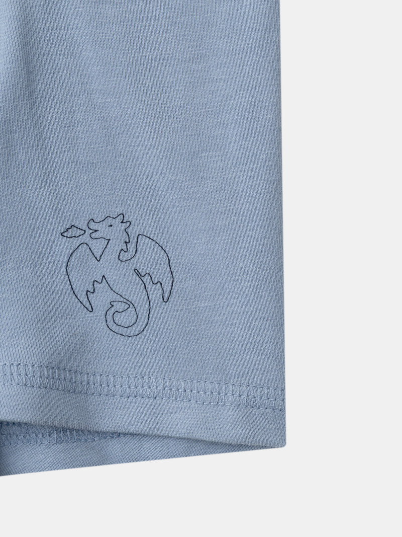 Lot 5 boxer Garçon