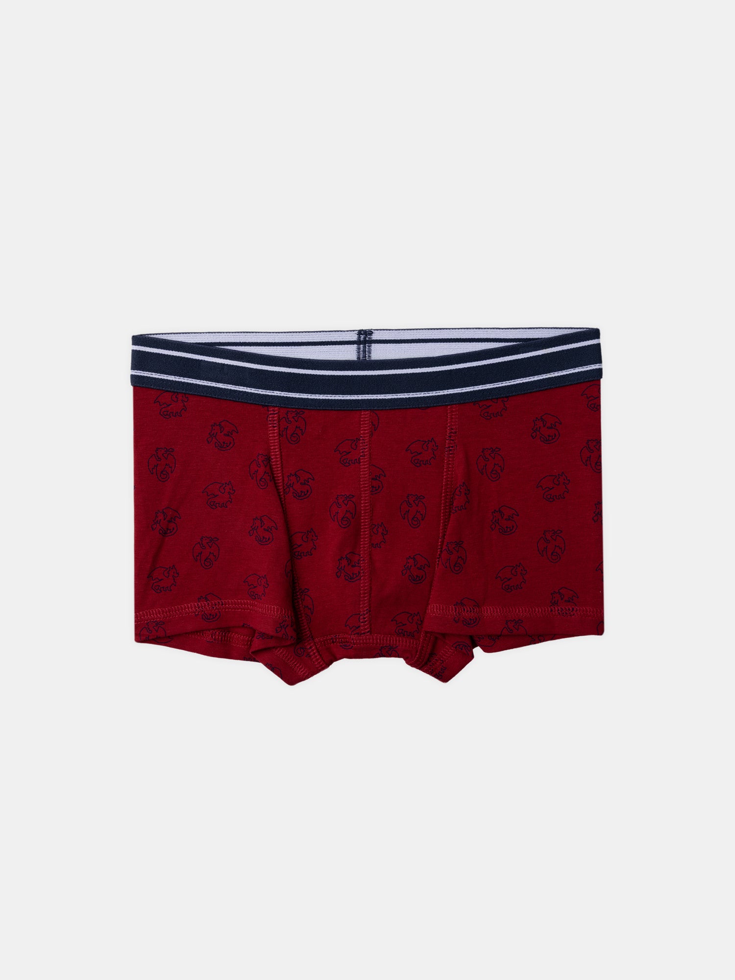 Lot 5 boxer Garçon