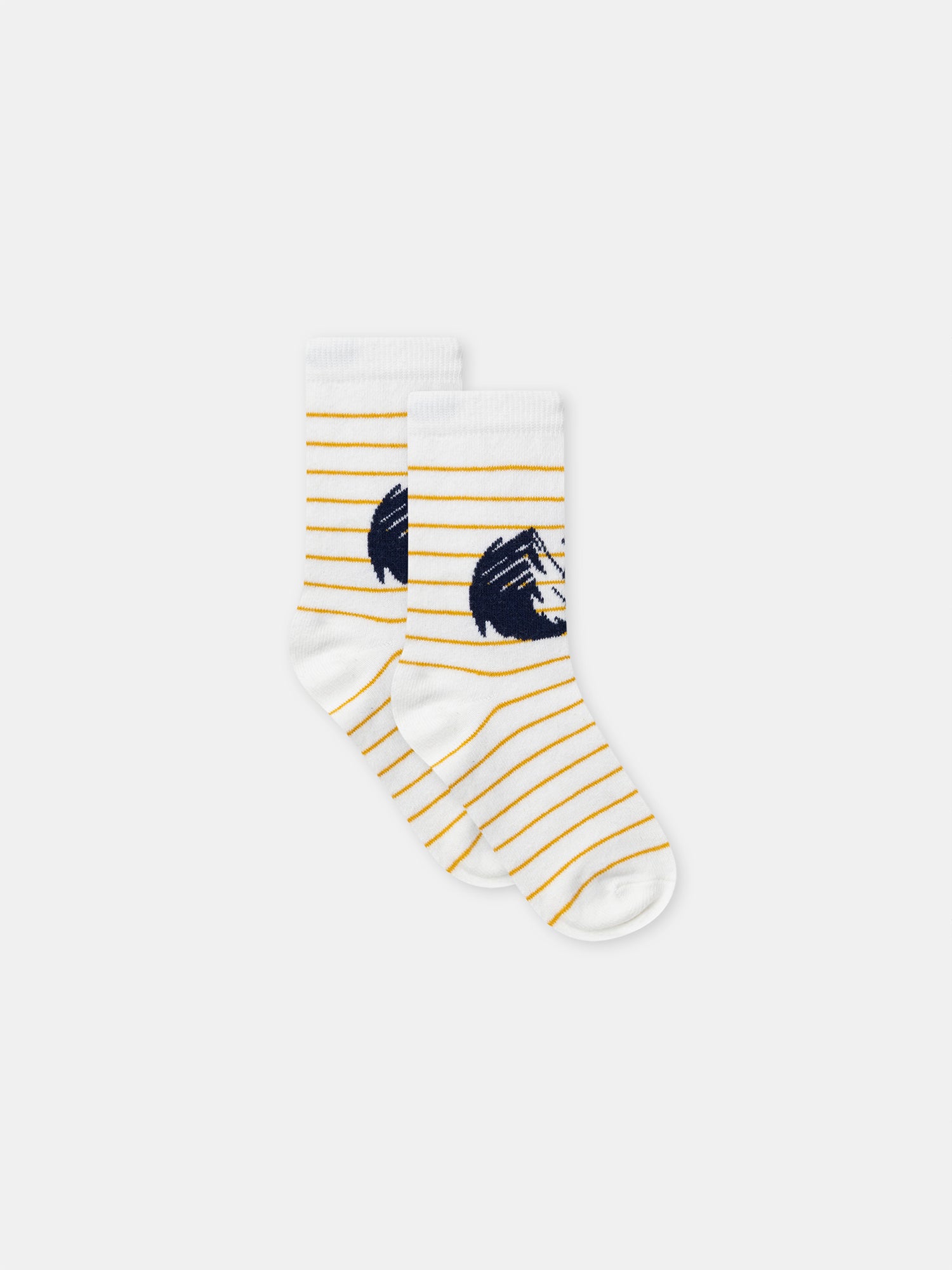 Lot de 5 paires de chaussettes Garçon