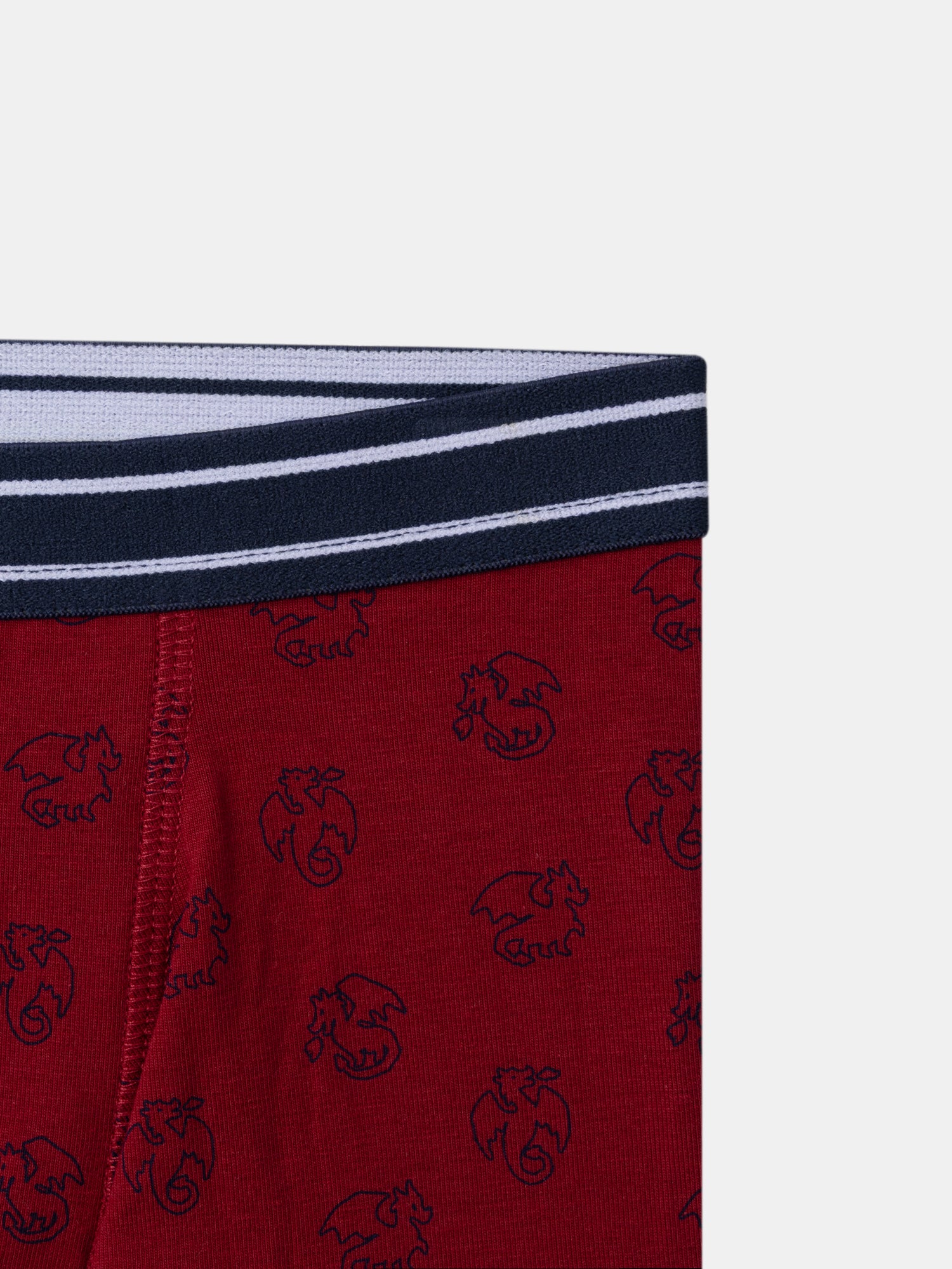 Lot 5 boxer Garçon