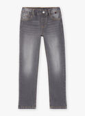 Jean regular gris FRIZIRAGE2 / 23E3PGB2JEAK004
