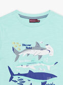 T-shirt bleu turquoise motifs requins enfant garçon COTIFAGE / 22E3PGN1TMC203