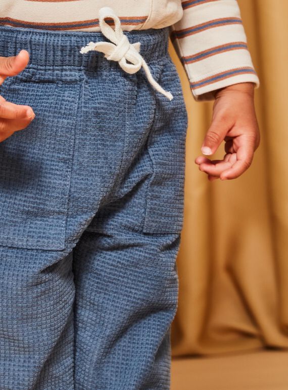 Pantalon en velours côtelé bleu gris DASECTOR / 22H1BGY2PAN205