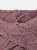 Snood mauve en maille MRASNOETTE / 25E4PF31SNO328