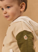 Gilet à capuche tricolore MAOCTAVE / 25E1BGO1GIL080