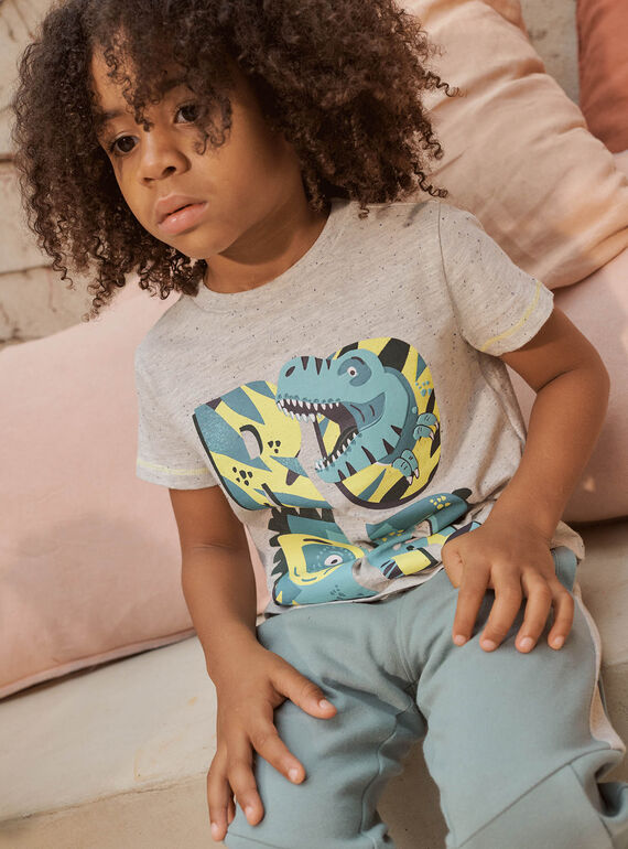T-shirt gris cendré motif dinosaure fantaisie enfant garçon CAXOLAGE / 22E3PGB1TMCJ904