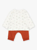 Haut, bas de pyjama et chaussettes gris clair GOKAY / 23H0CML2ENS001