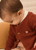 Gilet en tricot  NORBERT / 25H0CG21CAR817