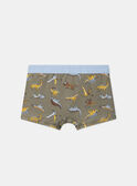 Lot de 5 boxers Dino  en jersey MLIMAINAGE / 25E5PG41BOX626
