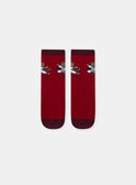 Lot de 5 chaussettes à rayures, imprimés ou uni Garçon NOPAKAGE / 25H4PGP1LC5A015