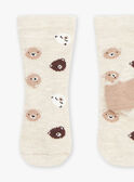 Chaussettes beiges à imprimé oursons GALAMY / 23H4BGH1SOQA010