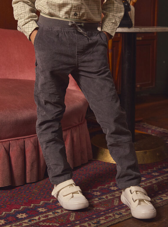 Pantalon Gris en Velours LADURAGE / 24H3PGQ1PANJ909