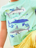 T-shirt bleu turquoise motifs requins enfant garçon COTIFAGE / 22E3PGN1TMC203