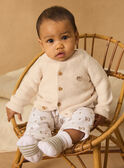 Gilet en tricot  MOSTAFA / 25E0CG12CARA011