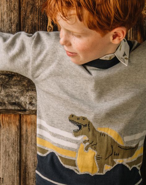 Pull à motif dinosaure gris DAFOULAGE / 22H3PGD1PUL943