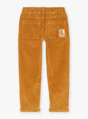 Pantalon ample beige en velours GLAVELTAGE / 23H3PGI1PANI819