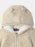 Veste à capuche en tricot  fourré MIMATHILDE / 25E1BF31VESA011