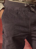 Pantalon Gris en Velours LADURAGE / 24H3PGQ1PANJ909