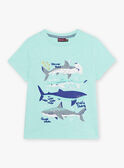 T-shirt bleu turquoise motifs requins enfant garçon COTIFAGE / 22E3PGN1TMC203
