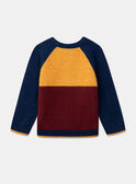 Pull tricolore LYMAILLAGE / 24H3PGO1PUL070