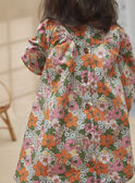 Robe Verte KABEATRICE / 24E1BF31ROB607