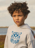 Pull Tigre à Capuche MEBOSSAGE / 25E3PG81PUL943