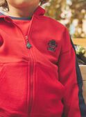 Sweat à capuche bicolore rouge et bleu marine FEGILAGE / 23E3PGB1GIL506