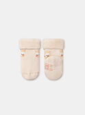 Lot de deux paires de chaussettes de naissance NOLINE / 25H0AF21SOQ318