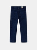 Pantalon Bleu marine LYBORAGE / 24H3PGO3PAN070