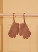Gants maille fantaisie  LISUETTE / 24H4PF72GAN804
