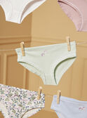 Lot de 5 culottes LUIZETTE / 24H5PF51SLR005