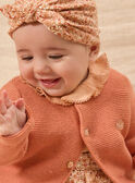 Gilet en tricot  NOLINA / 25H0CF21CARD329