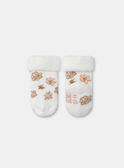 Lot de deux paires de chaussettes de naissance NOLINE / 25H0AF21SOQ318