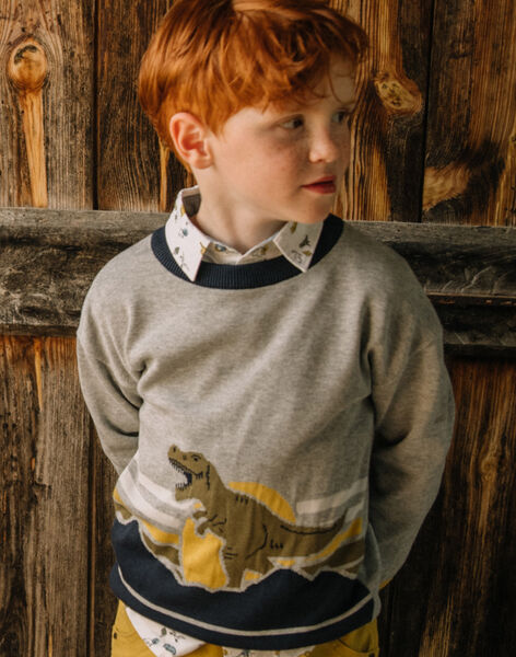 Pull à motif dinosaure gris DAFOULAGE / 22H3PGD1PUL943
