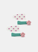 Barettes fleurs NABARETTE / 25H4PF71BRT002