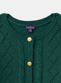 Cardigan Vert LYCARETTE / 24H2PFO1CARG618