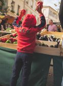 Sweat à capuche bicolore rouge et bleu marine FEGILAGE / 23E3PGB1GIL506