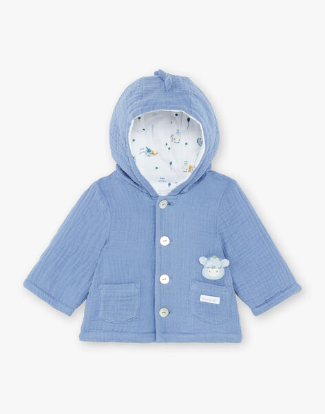 Veste A Capuche Bleue Bebe Garcon Collection 0 12 Mois Naissance Sergentmajor