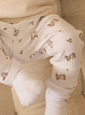 Ensemble de jour haut + pantalon+ chaussettes MORRIS / 25E0CG23ENSA011