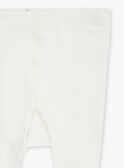 Collant Ecru GIBAZETTE / 23H4PF91COL001