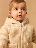 Veste à capuche en tricot  fourré MIMATHILDE / 25E1BF31VESA011