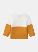Pull tête de renard bicolore LAMIMI / 24H1BGO1PUL001