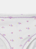 Lot de 3 culottes Etoile en jersey MLITRETTE / 25E5PF42SLR202