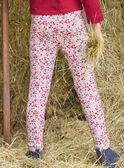 Legging doublé polaire   LALEGETTE / 24H2PFR1LG001