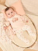 Doudou de naissance Lapin NOLLA / 25H0AF21JOU318