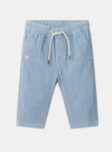 Pantalon en velours côtelé  LAURIEL / 24H1BGS2PAN020
