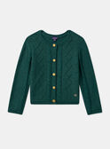 Cardigan Vert LYCARETTE / 24H2PFO1CARG618