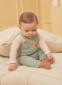 Ensemble Kaki LOIC / 24H0CG12ENS604